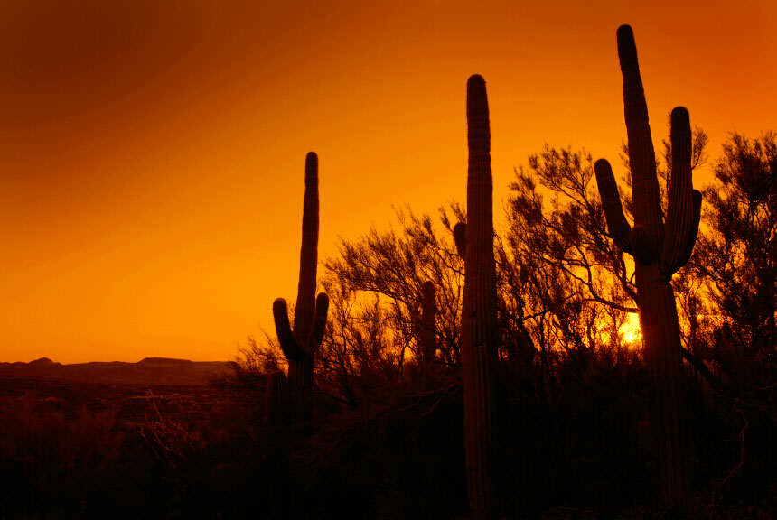 Arizona Desert at Night