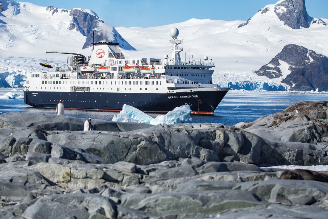 antarctic cruise deals